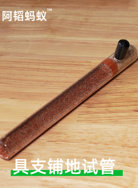 铺地试管新后蚂蚁试管蚁巢具支试管阿韬ants蚂蚁试管蚂蚁试管巢