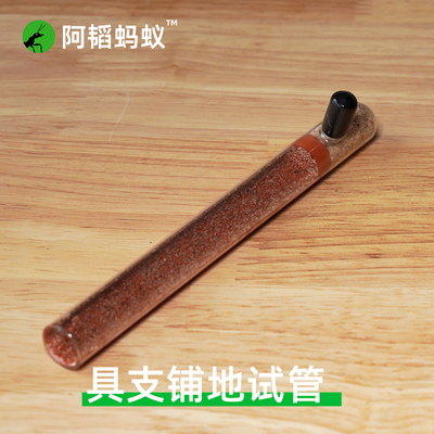 铺地试管新后蚂蚁试管蚁巢具支试管阿韬ants蚂蚁试管蚂蚁试管巢