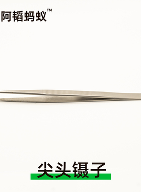 蚂蚁昆虫镊子金属款阿韬ants