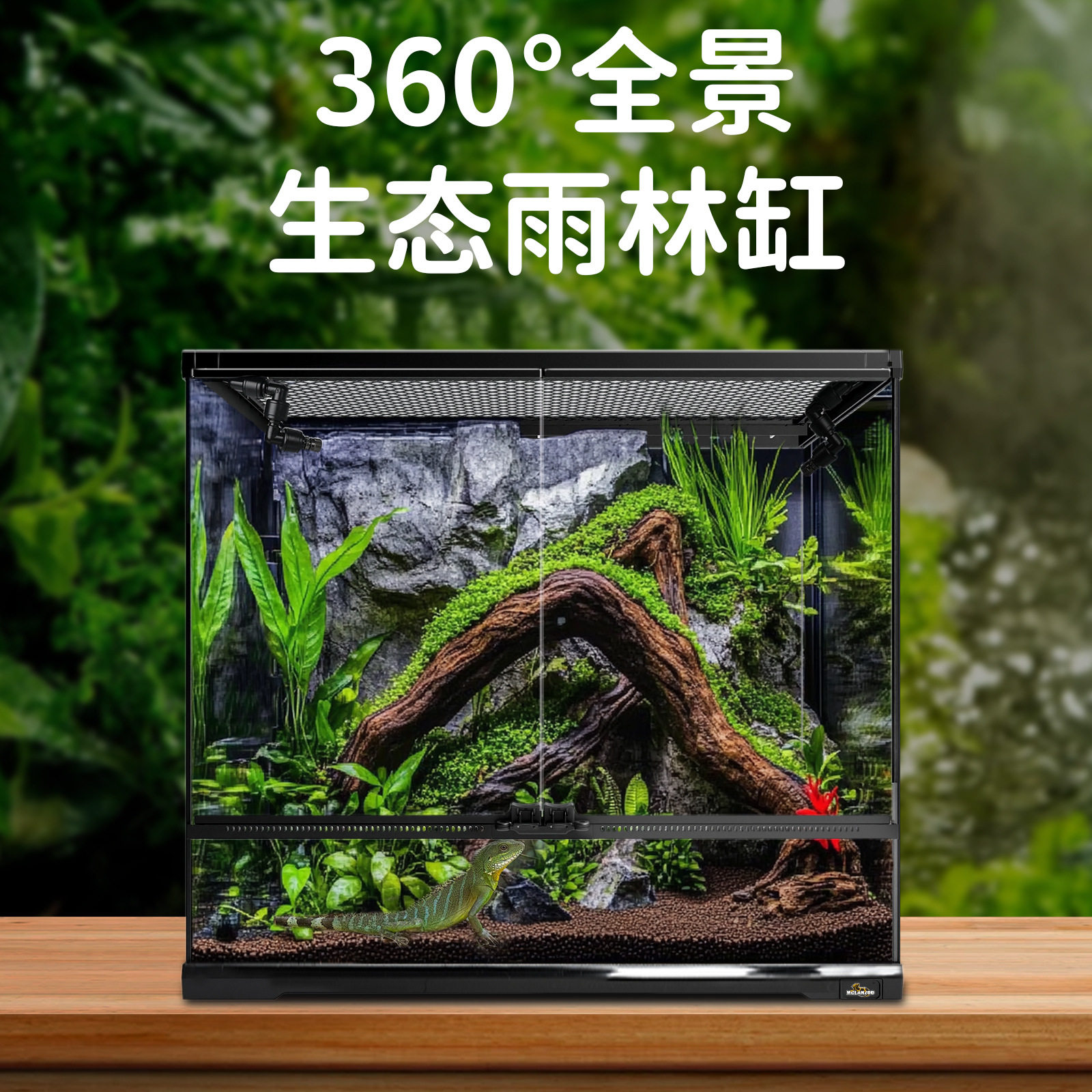 魅族MCLANZOO雨林缸造景箱热带雨林爬宠动植物超白玻璃缸跨境用品