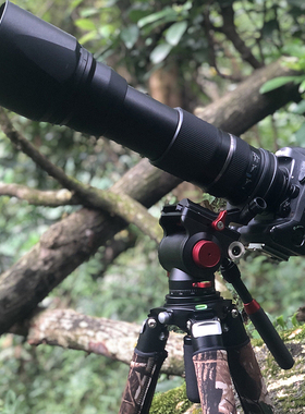 【36mm管径 更稳定】佳鑫悦TA364C长焦拍鸟大炮碳纤维相机三脚架重型专业摄影摄像液压云台赤道仪望远镜支架