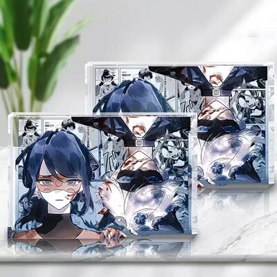 奇迹少女亚克力砖瓢虫雷迪