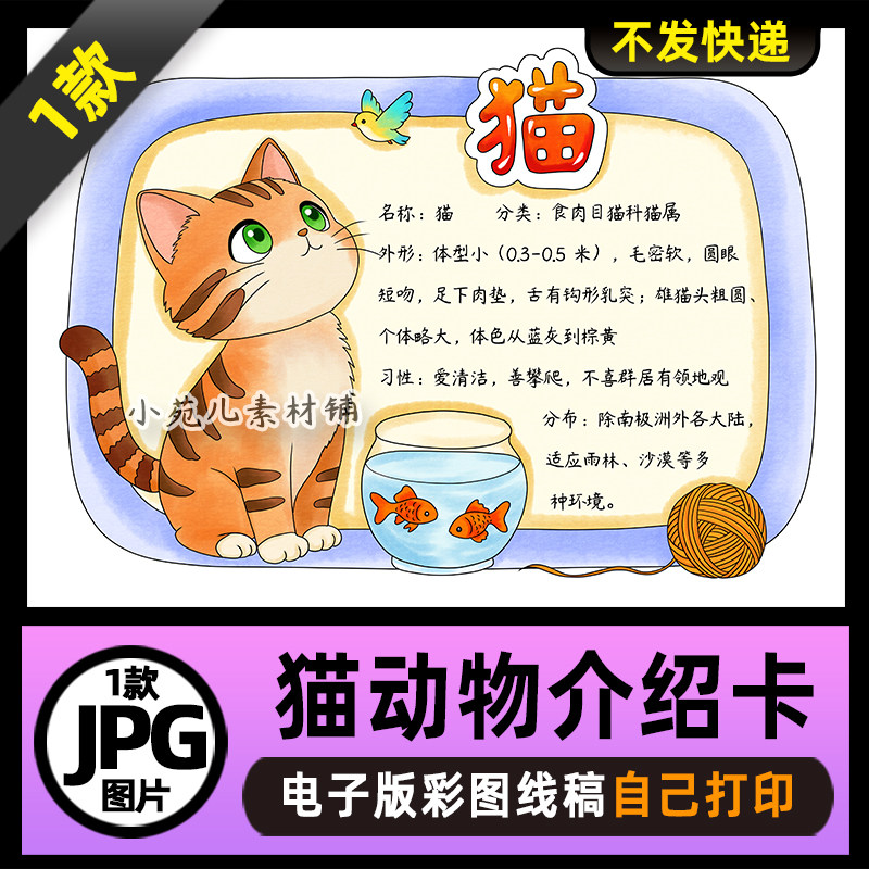 1140【电子版】猫动物名片动物卡片动物观察手抄报线稿图片