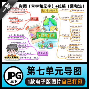 思维导图模板高清线稿电子版 B678三语下第七单元 图片自己打印
