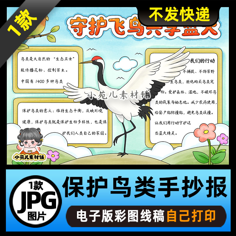 1318【电子版】爱鸟月保护鸟类手抄报守护飞鸟共享蓝天线稿图片