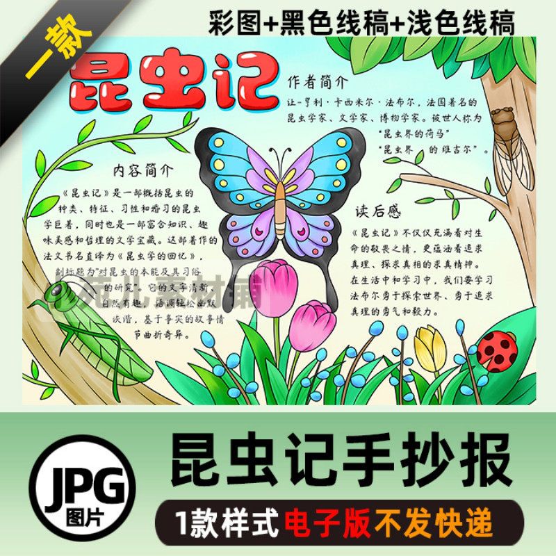 B335昆虫记读后感手抄报线稿好书推荐自然笔记手绘模板子版小报