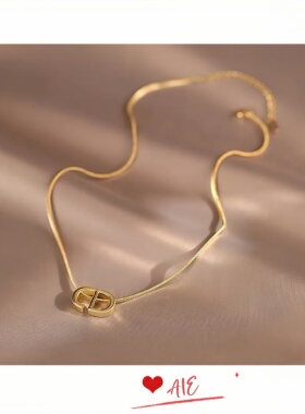 钛钢镀K金新款猪鼻子项链女小众设计感气质锁骨链轻奢不掉色