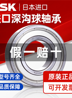 日本进口NSK轴承 6200 6201 6202 6203 6204 6205 6206 ZZ DDU VV
