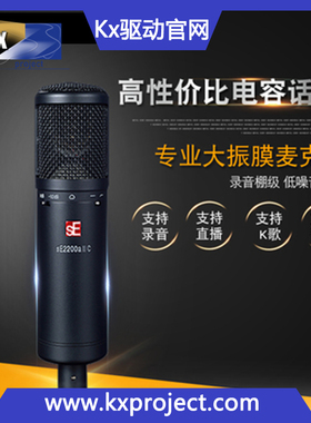【sE】Electronics 2200 all C:唱歌/直播/主播/录音/专业/电容麦