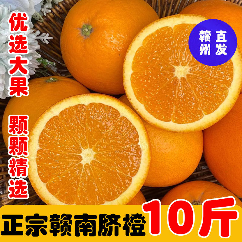 正宗赣南脐橙江西赣州现摘甜橙子