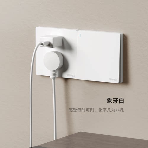 TEP国际电工哑光30年全屋定制