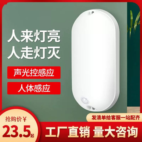 壁灯豪华款感应灯防水防蚊防潮