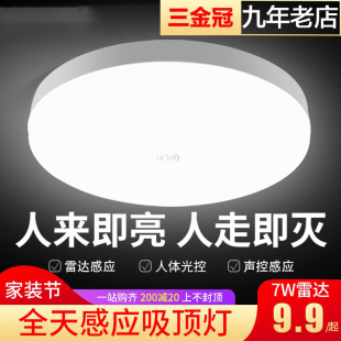 全天候人体感应灯升控灯延时大功率走廓电梯口衣帽间客厅吸顶灯