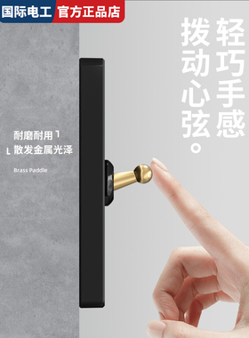 工业风法式复古黑色插座黄铜拨杆三开双控五孔家用酒店民宿开关