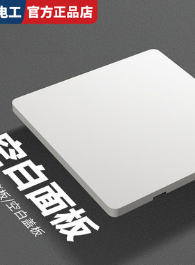 空白面板TEP国际电工86型超薄白色哑光开关插座面板家用暗装一开