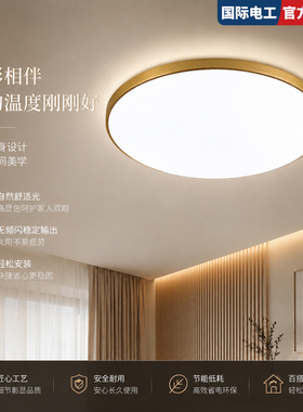 LED超薄吸顶灯现代简约家用客厅房间阳台灯灯芯照明光源圆形灯具