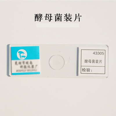 酵母菌装片生物实验显微镜