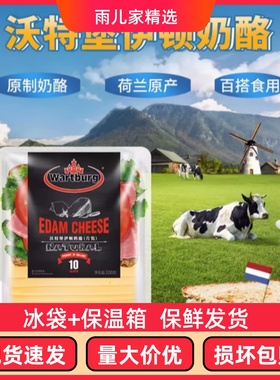 沃特堡埃蒙塔尔奶酪片装200g荷兰进口牛奶制品芝士片新鲜营养早餐