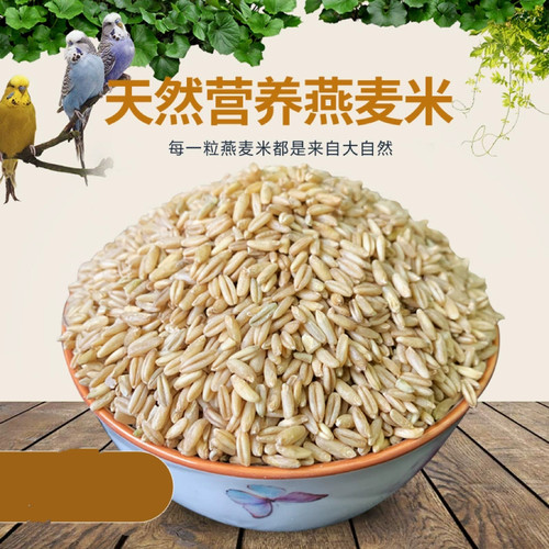 鸟食燕麦仁虎皮鹦鹉玄风包邮