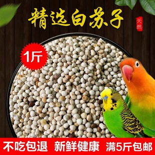 新苏子白苏子软苏子鸟食鸟粮 鹦鹉金丝雀芙蓉鸟黄雀