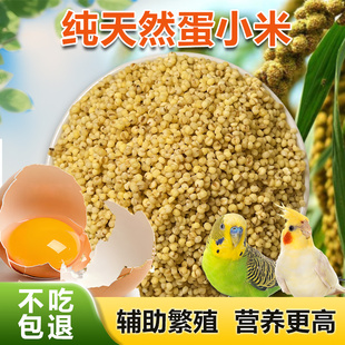 蛋小米鹦鹉断奶期鸟粮繁殖期蛋黄米专用牡丹虎皮玄凤幼鸟饲料无壳