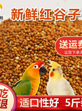 优质增亮毛色饱满珍珠全国鸟食
