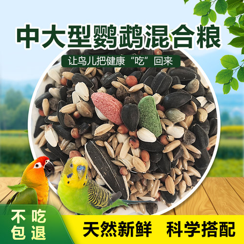 中大型亚历折衷葵花包邮灰鹦鹉