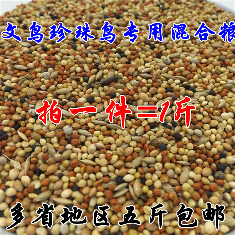 虎皮牡丹文鸟芙蓉鸟金丝雀珍珠