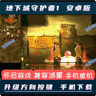 地下城守护者1安卓中文手机版PC电脑移植中文单机游戏角色扮演RPG