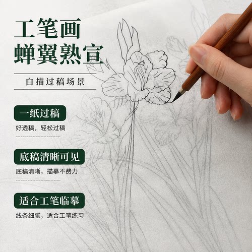 安徽珠光云母蝉衣蝉翼拓印薄款