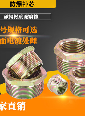 防爆转接头补芯仪表大小头异径