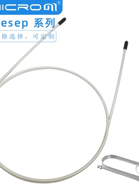 Hayesep Q气相色谱柱 Hayesep A/B/C/D/H/P/R/S/T/N不锈钢填充柱