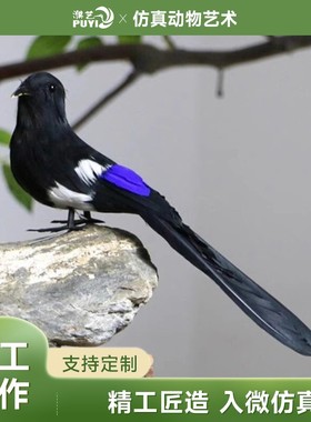 【仿真喜鹊】羽毛鸟假装饰模型情人节礼物喜上眉梢工艺品摆件道具