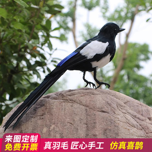 饰摄影道具教学庭院景观动物模型 仿真羽毛小鸟喜鹊摆件花园布景装