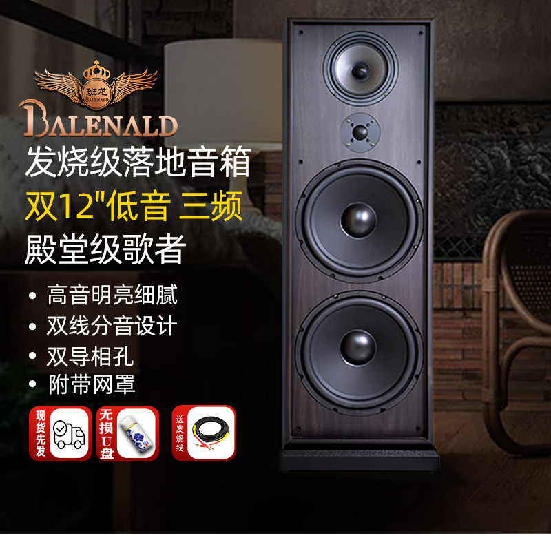 班龙615hifi音箱发烧级家用客厅高保真双12寸三分频音响落地音箱 影音电器 Hifi音箱 原图主图