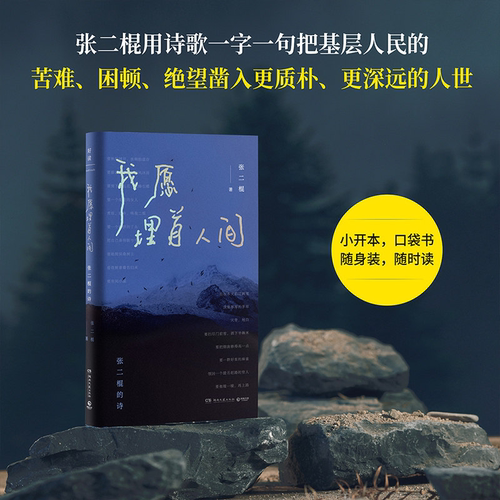 我愿埋首人间：张二棍的诗
