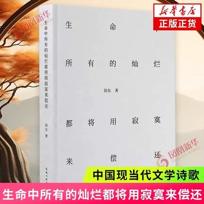 生命中所有的灿烂都将用寂寞来偿还 徐东 花城出版社 中国现当代文学诗歌