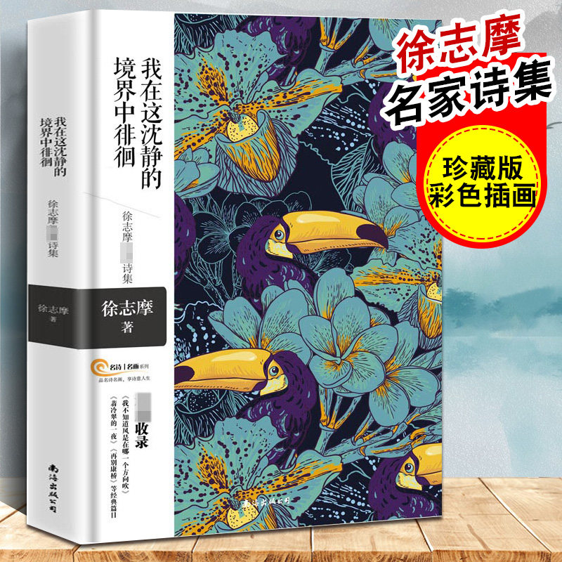 【双封面+双书脊+四色精美彩绘】我在这沈静的境界中徘徊 徐志摩诗集 名诗名画系列精选集