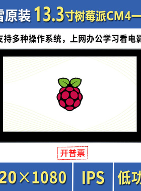 微雪 树b莓派CM4电容触摸显示屏 133寸一体机平板电脑 音频输出