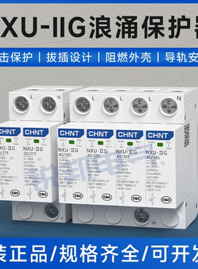 正泰浪涌电涌保护器NXU-ⅡG 20KA40KA2P4P家庭小型电源避雷器220v