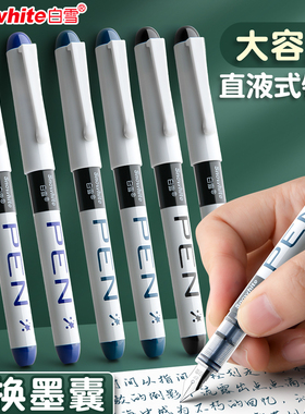 白雪直液式钢笔免换墨囊小学生三四年级练字帖专用儿童成人硬笔书法初学者EF尖美工黑色墨蓝书写高颜值签字笔