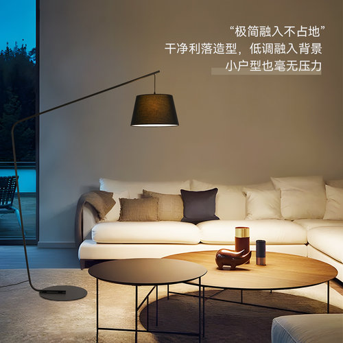 雷士照明铁艺简约落地灯