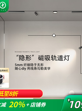 雷士照明极窄5mm磁吸轨道嵌入式预埋款吊装无主灯客厅泛光灯照明