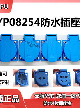 TYP1609C 160801TYP08254防水多功能机床3位工业插座盒08114威浦