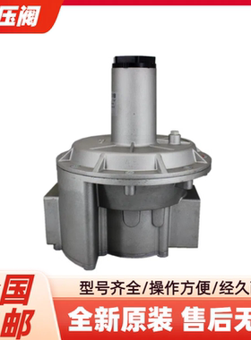 GECA燃气机减压阀RG032-1B RG040-1B RGD32-1B RGD40-1B全新原装