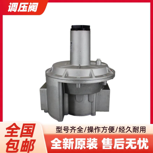 燃气调压器GECARG032原装RGD40