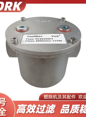 YORK约克燃气燃烧机过滤器FG4015 FG4020 FG4025 FG4040 FG4050WT