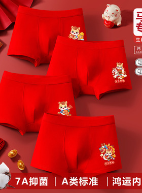 男童平角内裤马年本命年中大童13青少年男孩红色纯棉儿童四角12岁