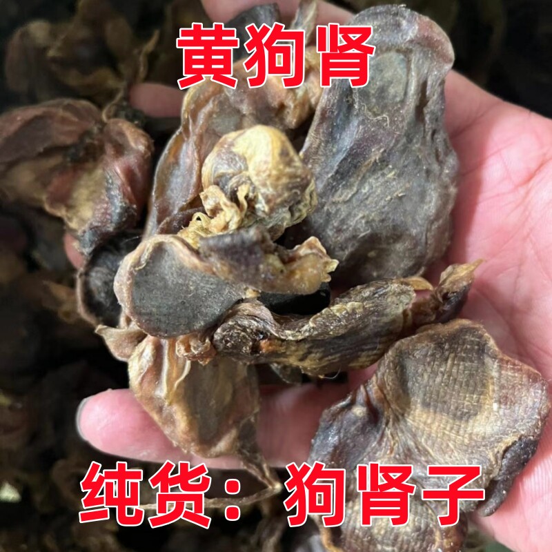 安国中药材市场批 发黄狗肾 狗