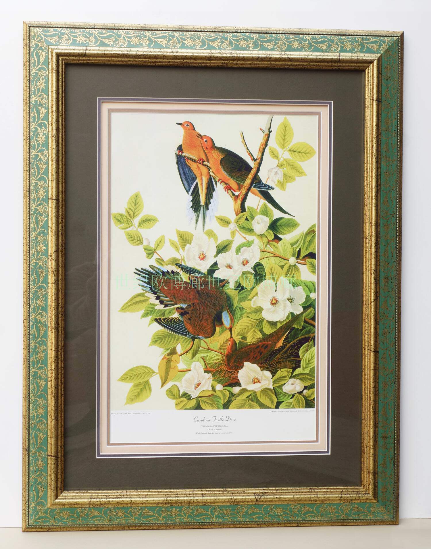 进口原版画芯美式玄关高端花鸟装饰画挂画奥杜邦卡罗来纳幸福鸽子